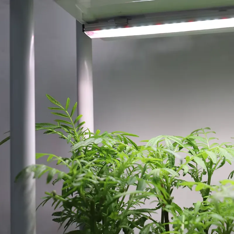 Movable Vertical Grow 3 Level  - Self Watering Planter recension och pris