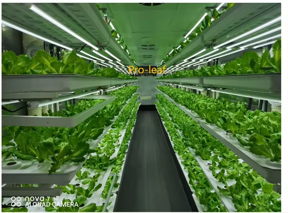 f Greenhouse Agricultural Equi - Hydroponic Tower recension och pris
