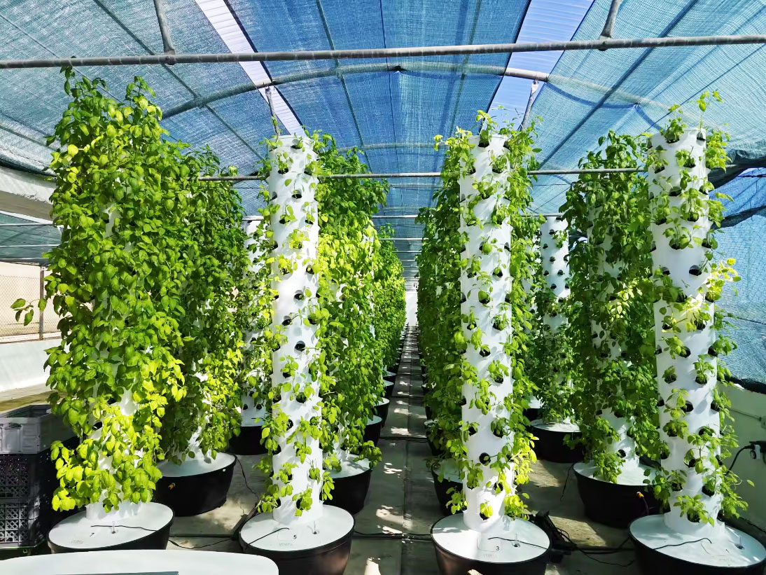 High Quality Easy Install Smal - Hydroponic Tower recension och pris