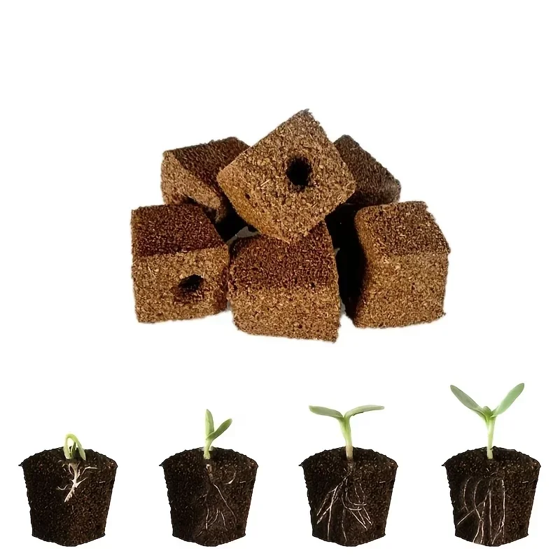 Seedling Starter Sponge Kit fo - Indoor Garden Kit recension och pris