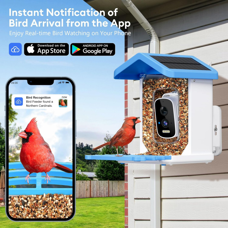 WiFi Smart Bird Feeder with Ca - Garden Camera recension och pris