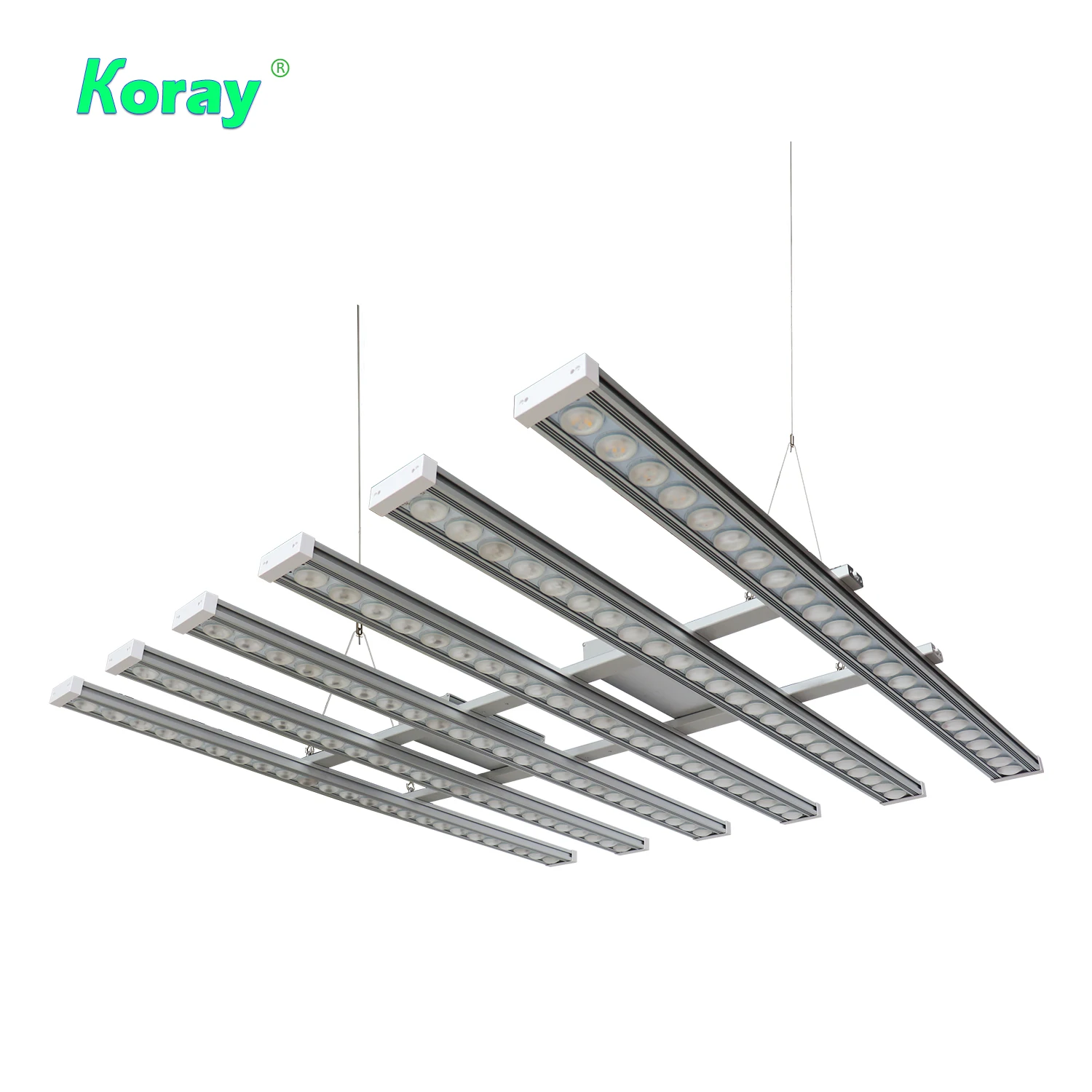 Koray 900W Indoor full spectru - Grow Light Led recension och pris