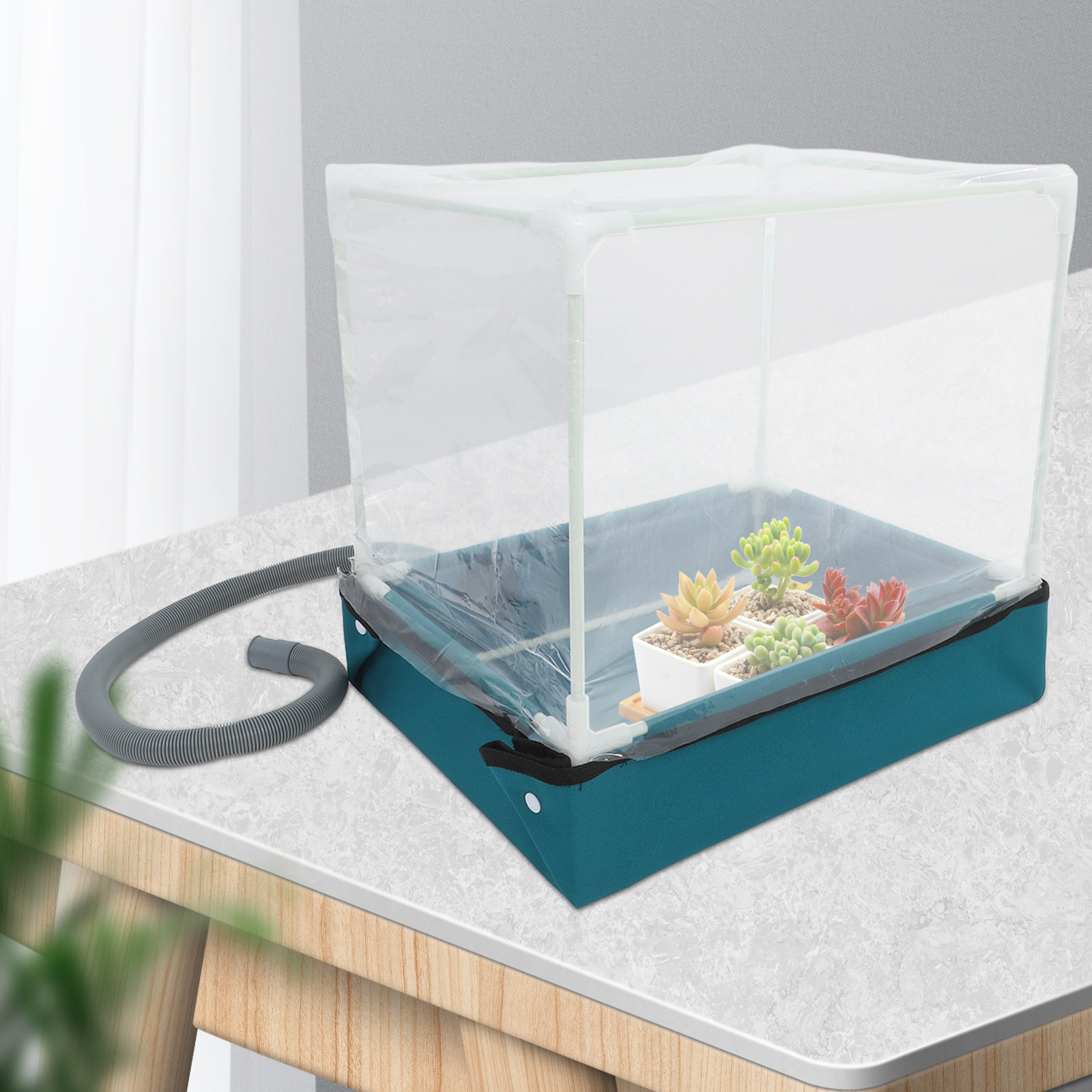Mini Indoor Succulent Greenhou - Indoor Garden Kit recension och pris